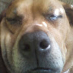 Meet your Posher, Daryl